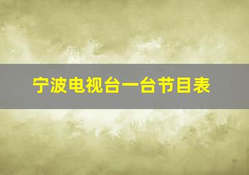 宁波电视台一台节目表