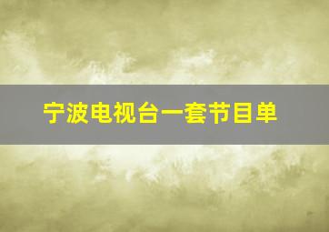 宁波电视台一套节目单