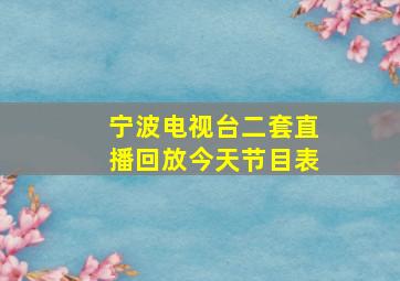 宁波电视台二套直播回放今天节目表