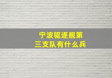 宁波驱逐舰第三支队有什么兵