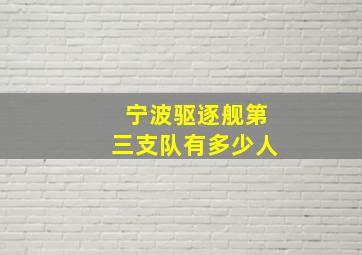 宁波驱逐舰第三支队有多少人