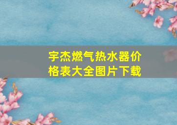 宇杰燃气热水器价格表大全图片下载