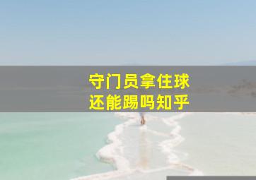 守门员拿住球还能踢吗知乎