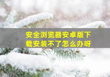 安全浏览器安卓版下载安装不了怎么办呀