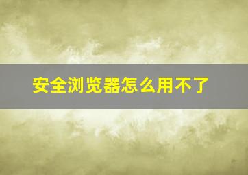 安全浏览器怎么用不了