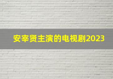 安宰贤主演的电视剧2023