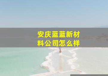 安庆蓝蓝新材料公司怎么样