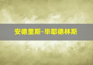 安德里斯-毕耶德林斯