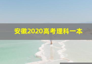 安徽2020高考理科一本