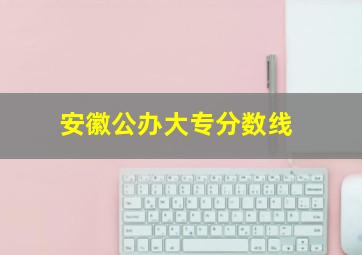 安徽公办大专分数线