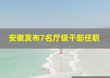 安徽发布7名厅级干部任职