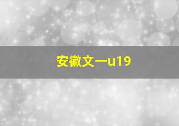 安徽文一u19