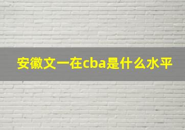 安徽文一在cba是什么水平