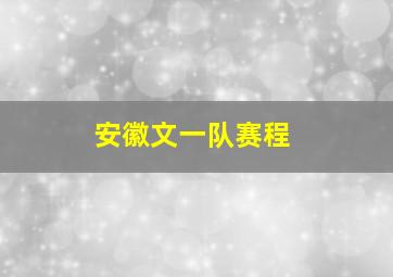 安徽文一队赛程