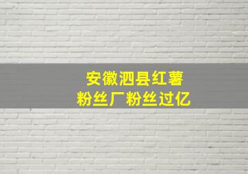 安徽泗县红薯粉丝厂粉丝过亿