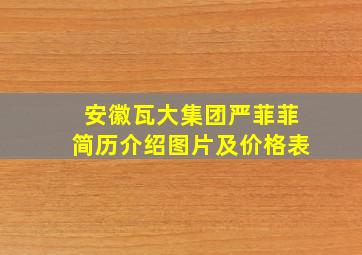 安徽瓦大集团严菲菲简历介绍图片及价格表