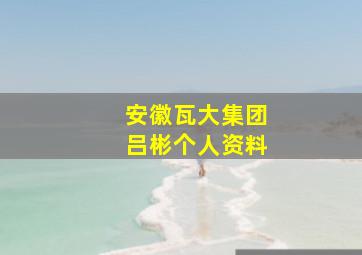 安徽瓦大集团吕彬个人资料