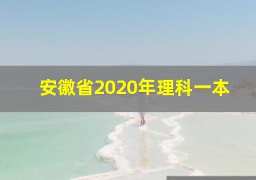 安徽省2020年理科一本