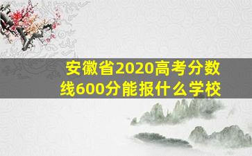 安徽省2020高考分数线600分能报什么学校