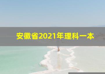 安徽省2021年理科一本