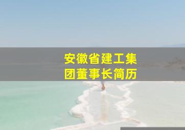 安徽省建工集团董事长简历