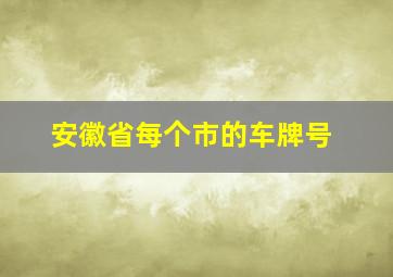 安徽省每个市的车牌号