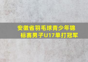 安徽省羽毛球青少年锦标赛男子U17单打冠军