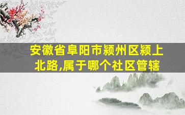 安徽省阜阳市颍州区颍上北路,属于哪个社区管辖