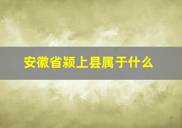 安徽省颍上县属于什么