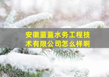 安徽蓝蓝水务工程技术有限公司怎么样啊