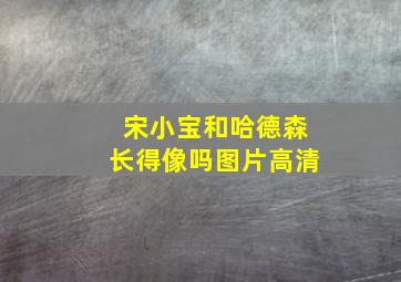 宋小宝和哈德森长得像吗图片高清