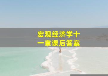 宏观经济学十一章课后答案