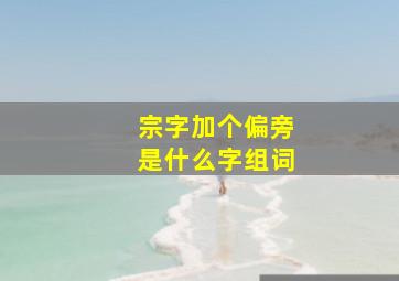 宗字加个偏旁是什么字组词