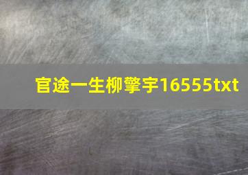 官途一生柳擎宇16555txt