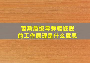 宙斯盾级导弹驱逐舰的工作原理是什么意思