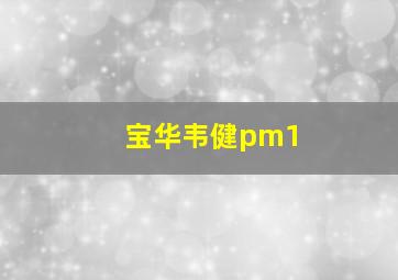 宝华韦健pm1