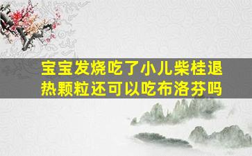 宝宝发烧吃了小儿柴桂退热颗粒还可以吃布洛芬吗