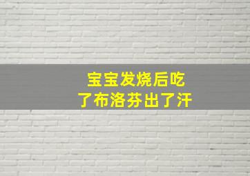 宝宝发烧后吃了布洛芬出了汗