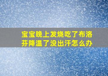 宝宝晚上发烧吃了布洛芬降温了没出汗怎么办