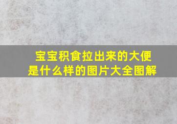 宝宝积食拉出来的大便是什么样的图片大全图解