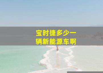 宝时捷多少一辆新能源车啊