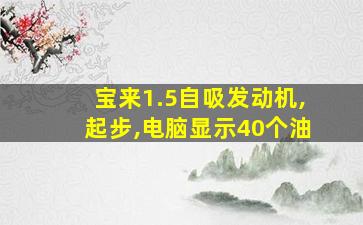 宝来1.5自吸发动机,起步,电脑显示40个油