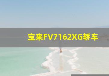 宝来FV7162XG轿车