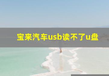 宝来汽车usb读不了u盘