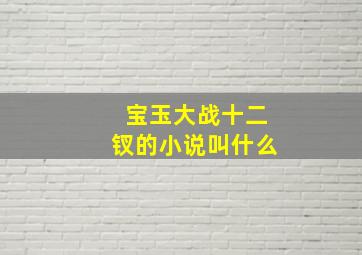 宝玉大战十二钗的小说叫什么