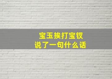 宝玉挨打宝钗说了一句什么话