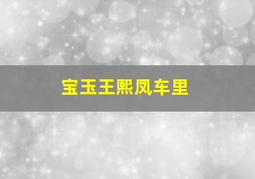 宝玉王熙凤车里