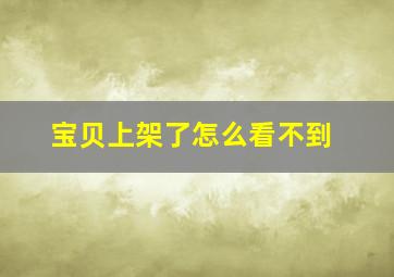 宝贝上架了怎么看不到