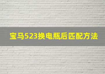 宝马523换电瓶后匹配方法