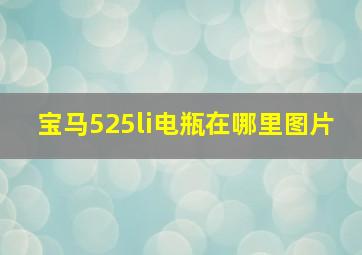 宝马525li电瓶在哪里图片